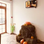 Hotel Coin 3*